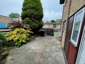 Yard- click for photo gallery